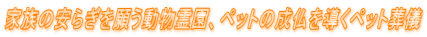 Ƒ̈炬肤쉀Aybg̐𓱂ybgV 